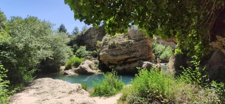 Appartement Proche Plage Avec Piscine En Centre Ville Τορεβιέχα Εξωτερικό φωτογραφία